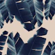 Banana Leaves Tropical 6