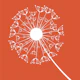 Rust Orange Dandelion