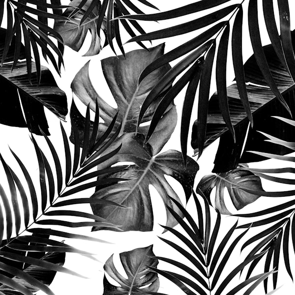 Tropical Jungle Leaves 10