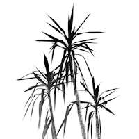 Palm Trees White Cali Vibes 1 papel pintado