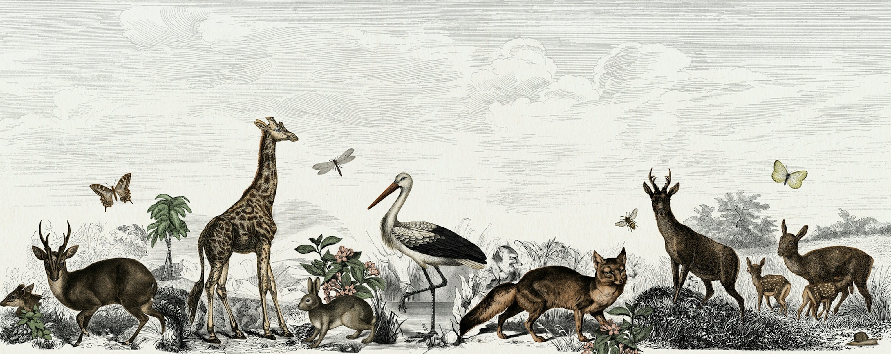 Vintage Animals Colour Wallpaper | Happywall