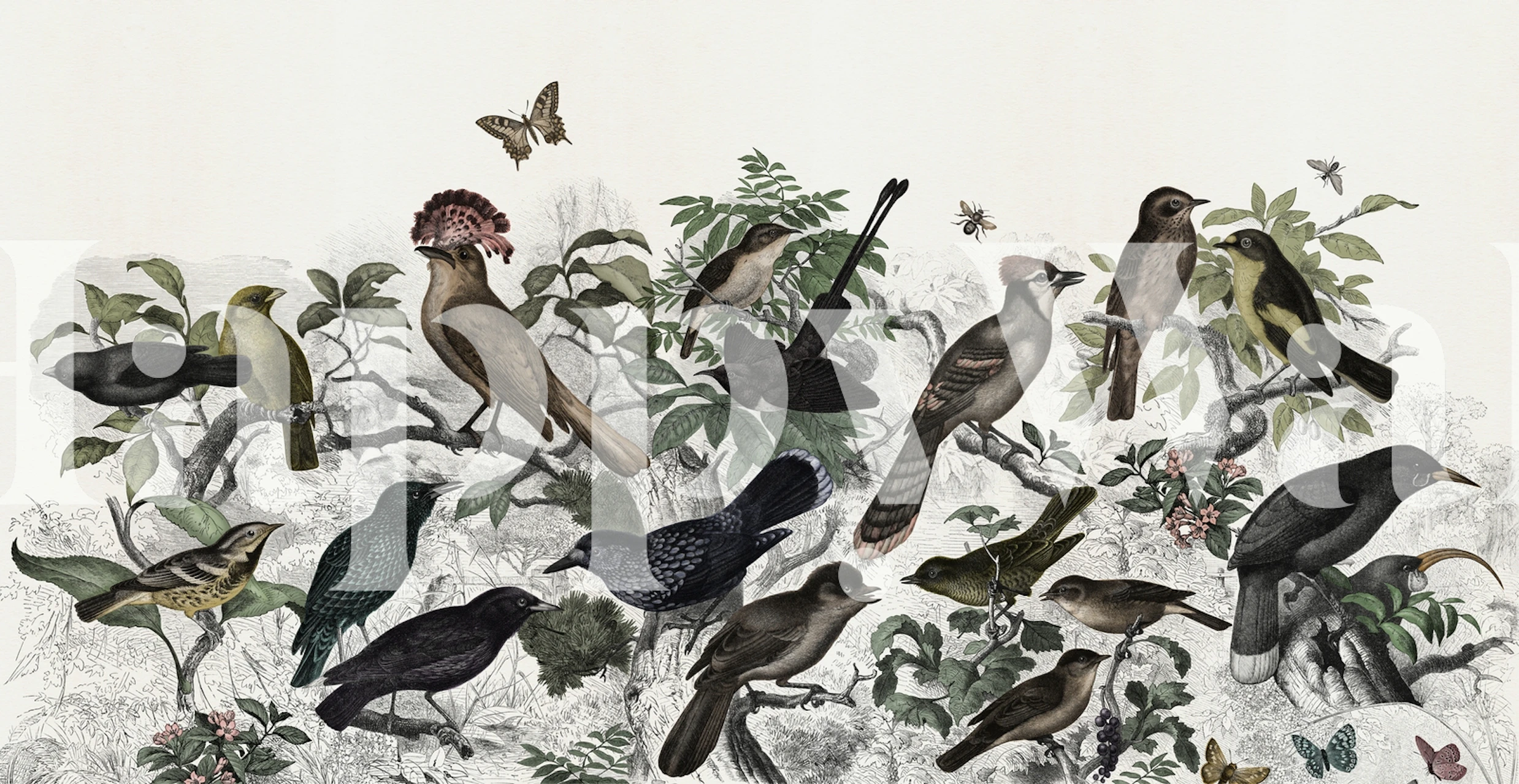 Razne šarene ptice sjede u bujnom zelenilu na zidnom muralu Boja šumskih ptica.