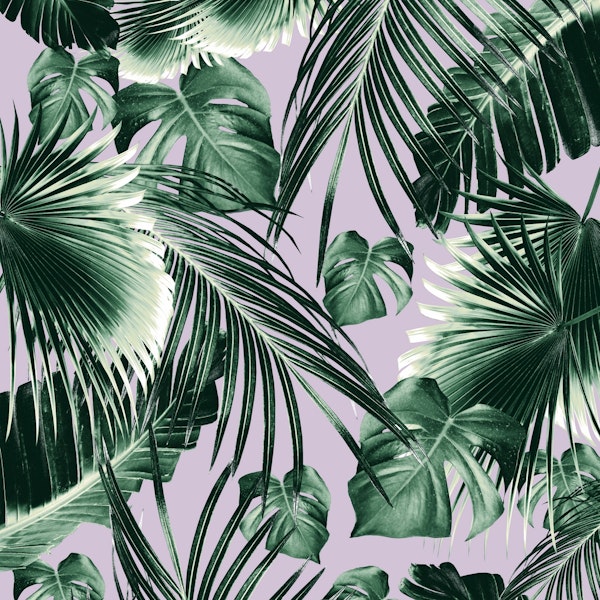 Tropical Jungle Dream 8