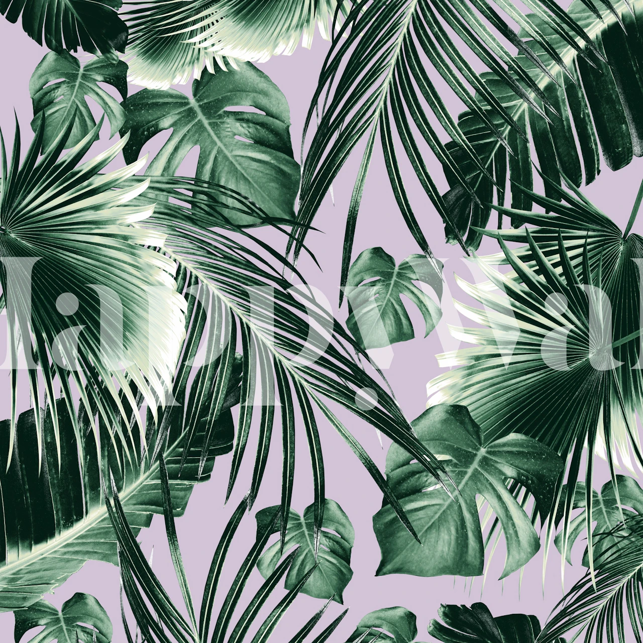 Tropical Jungle Dream 8 wallpaper in a room