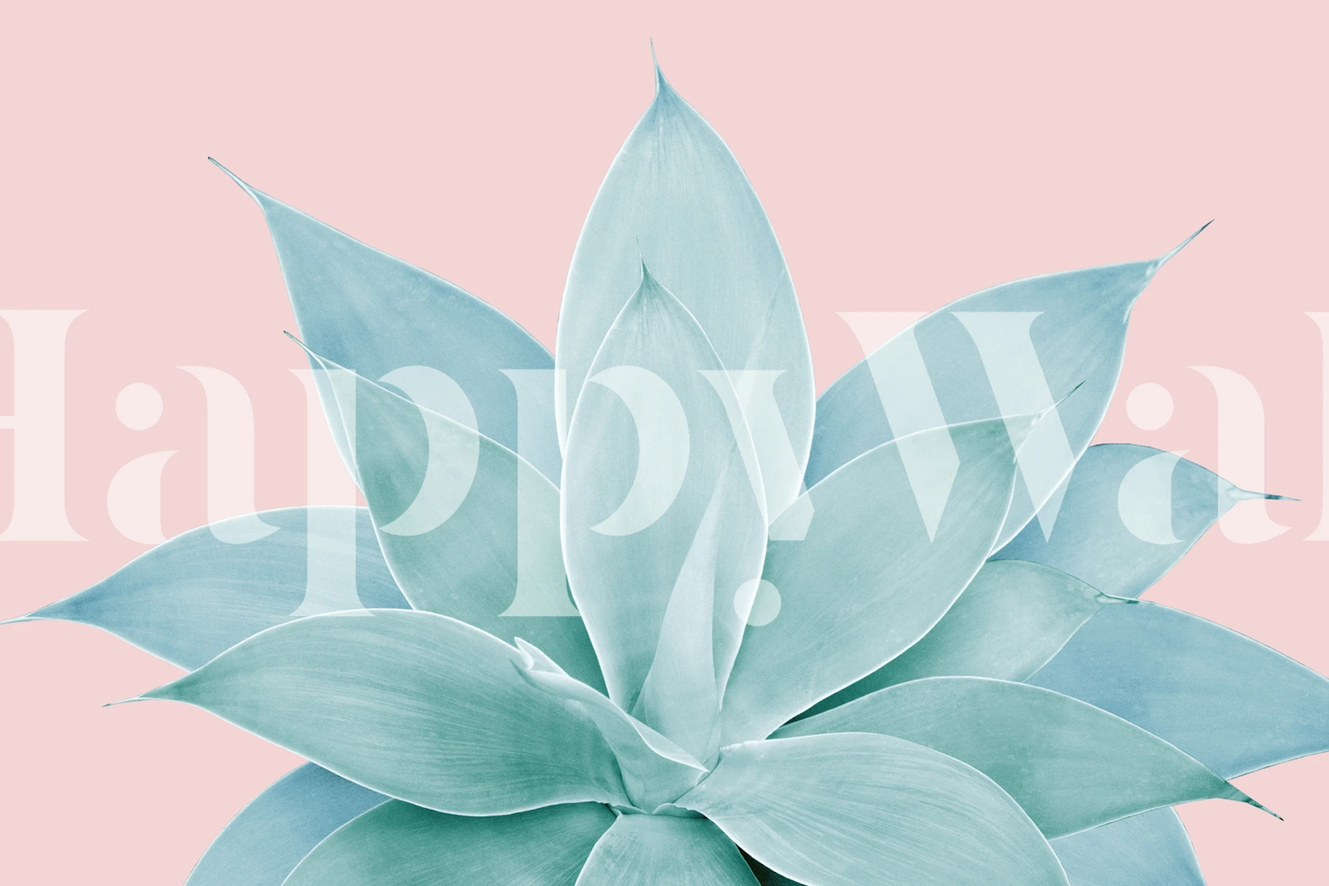 Agave plant leaves in soft teal on blush background wallpaper