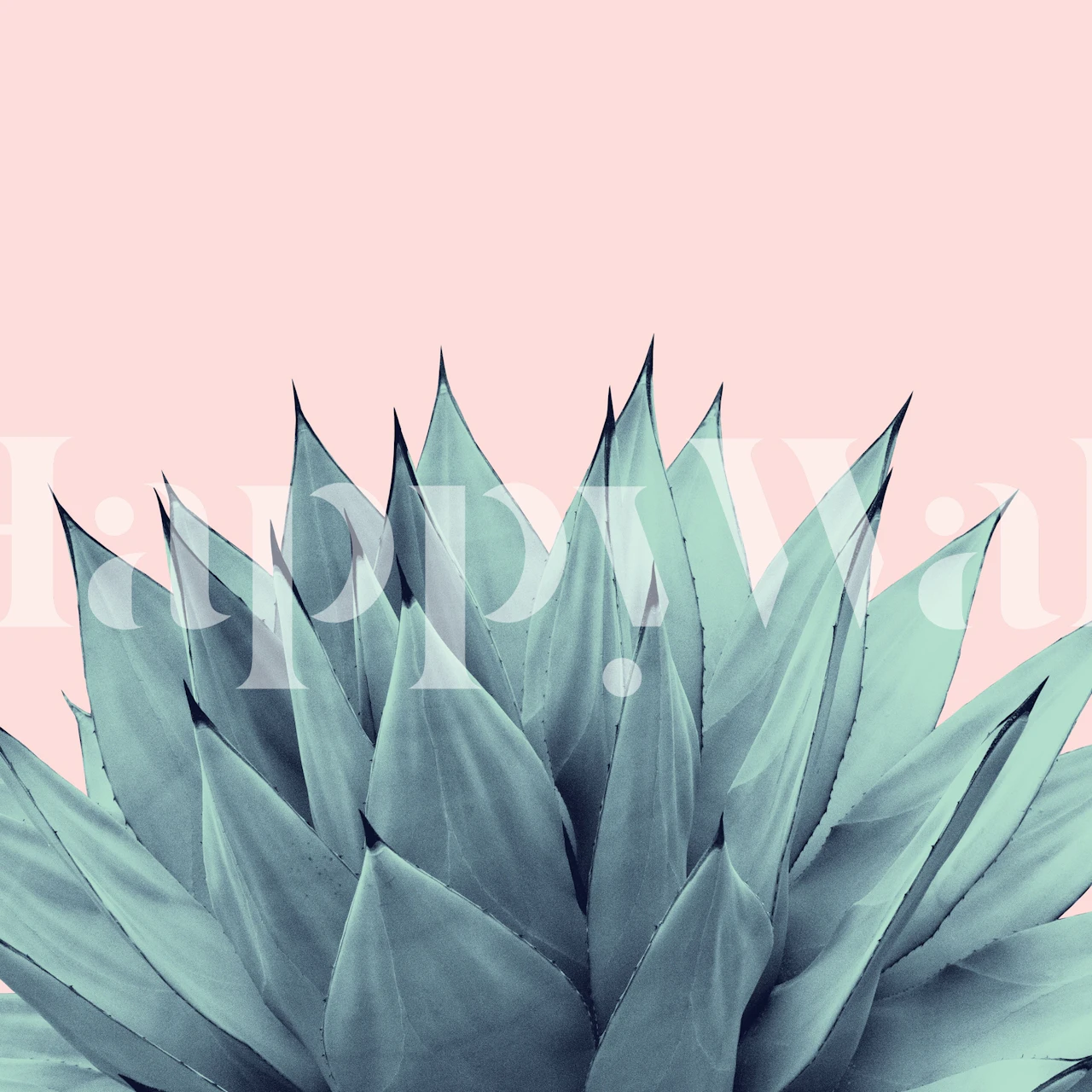 Agave Vibes 12a papel de parede em um quarto