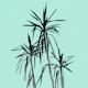 Palm Trees Mint Cali Vibes 1