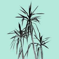 Palm Trees Mint Cali Vibes 1 papel pintado