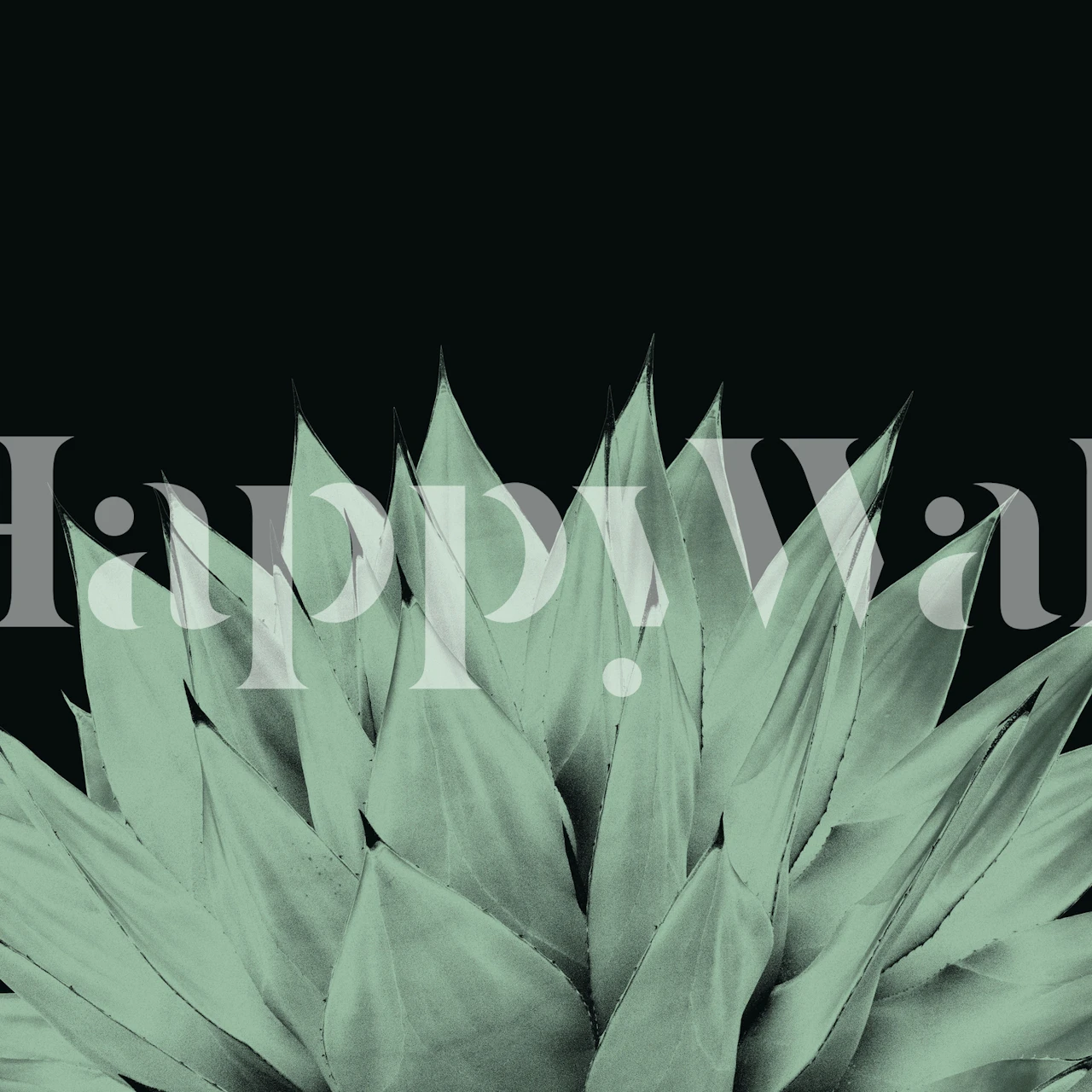 Agave plant silhouette against a dark background wall mural