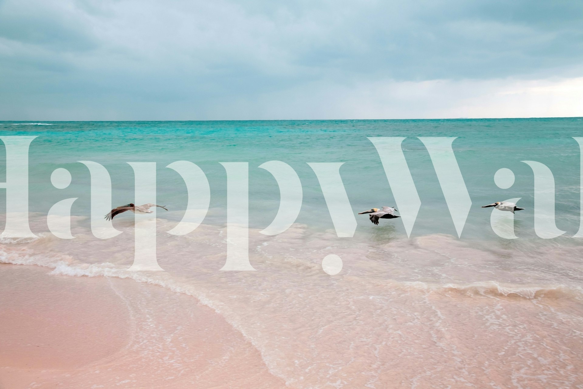 Three pelicans flying over a tranquil beach with turquoise water and soft pink sand wallpaper