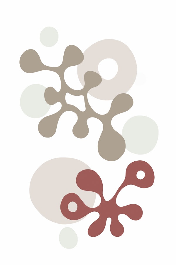 Twisted Beats No 3 Corals