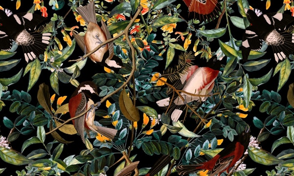 Floral and Birds XLIV
