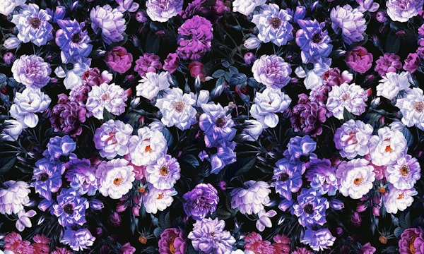 Rose Garden - Night III