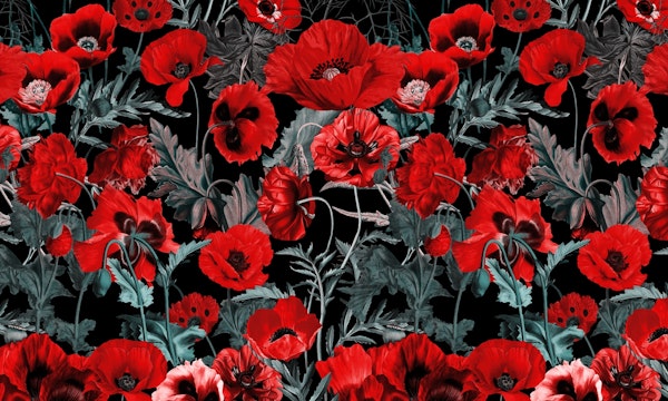 Poppy Garden