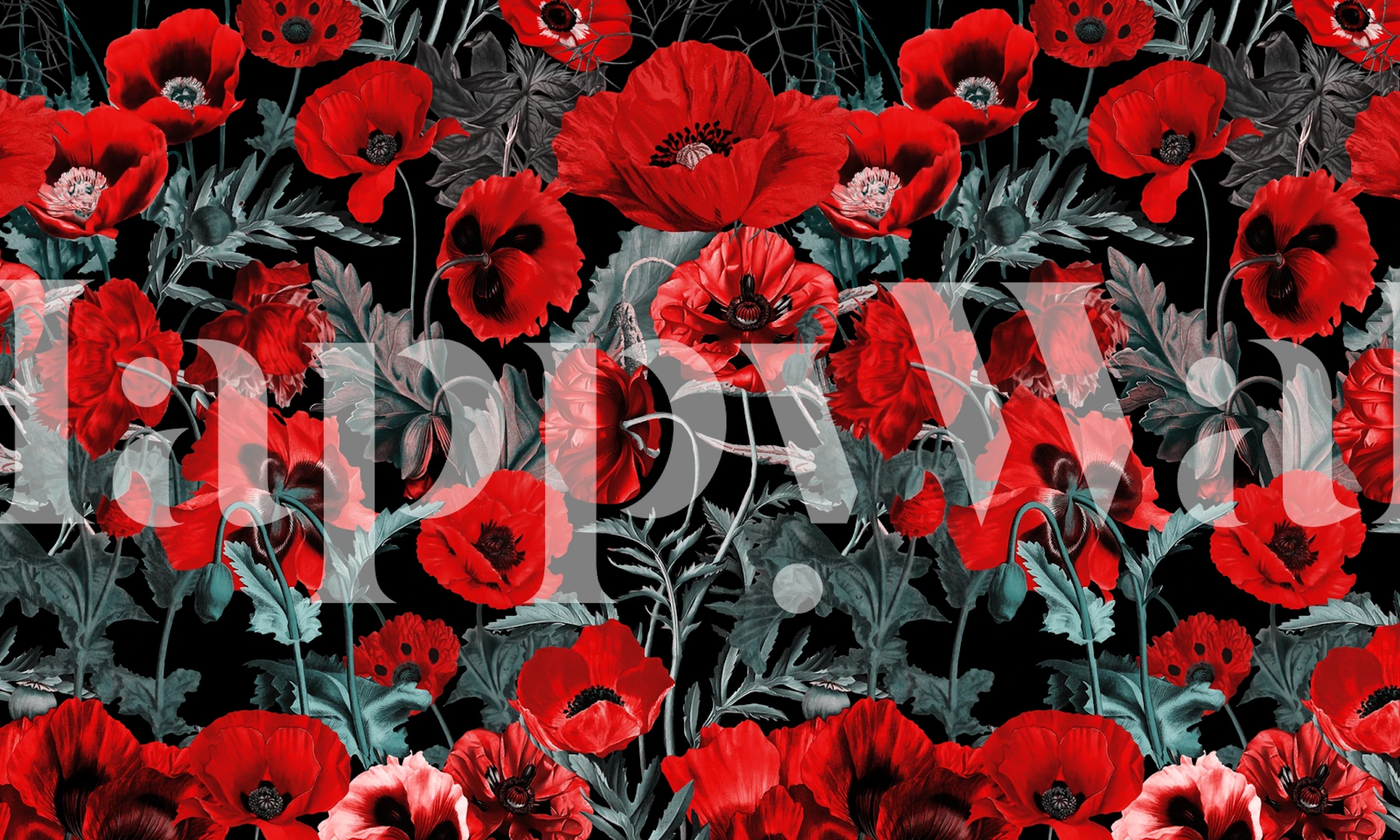 Red poppies on black background wall mural