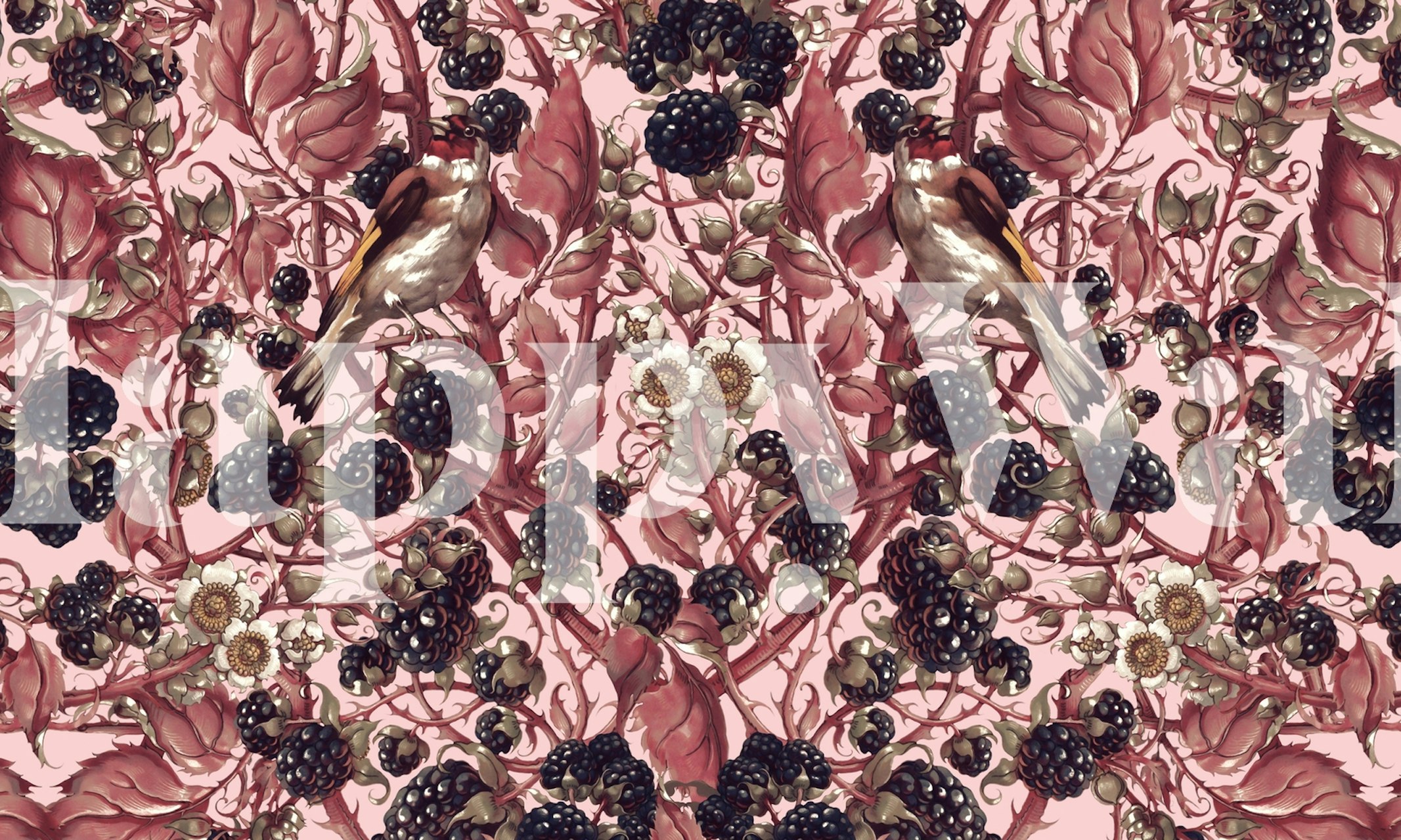 Birds and blackberries among leaves on pink background wallpaper