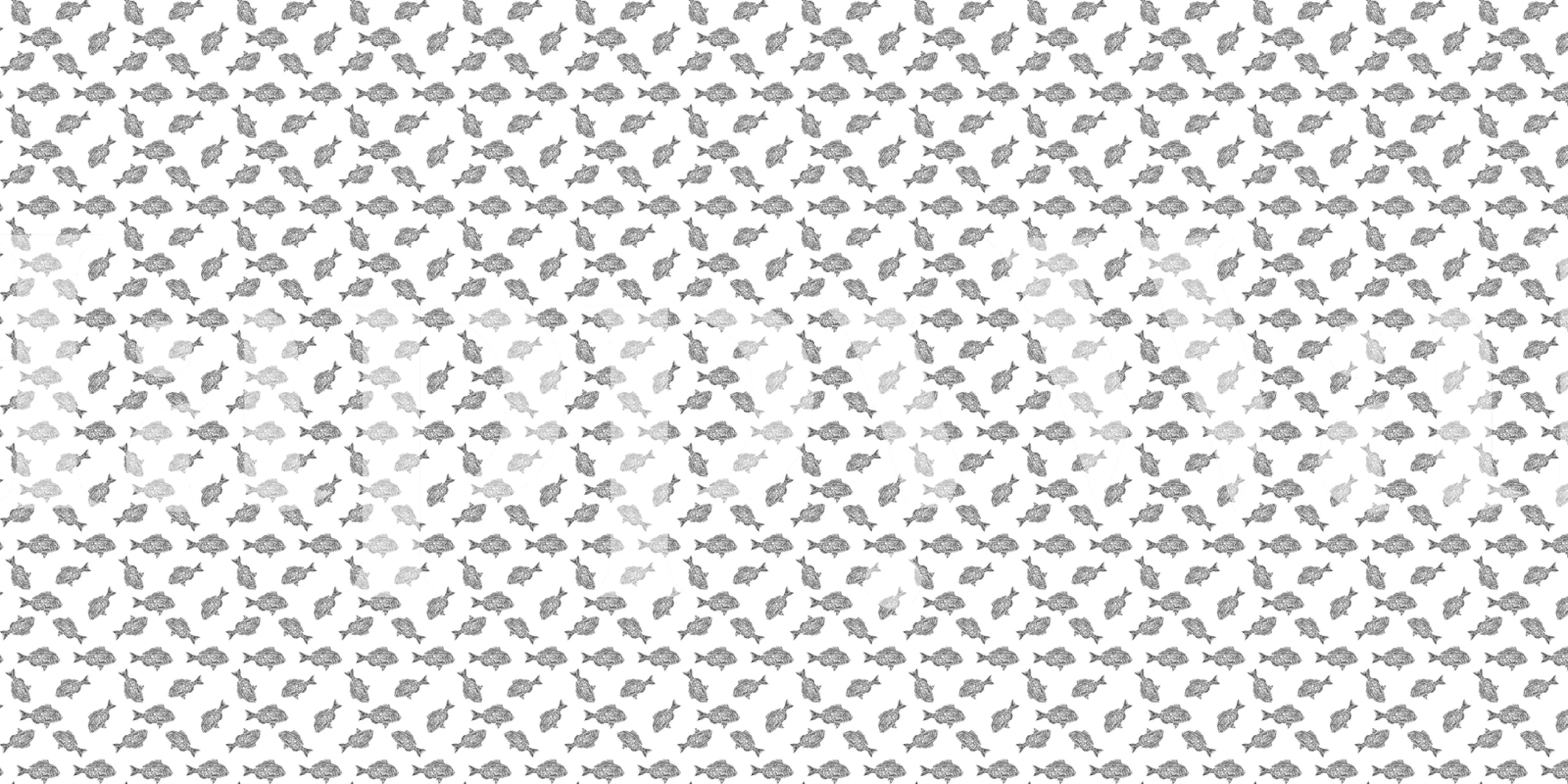 Gray fish pattern on white background wallpaper
