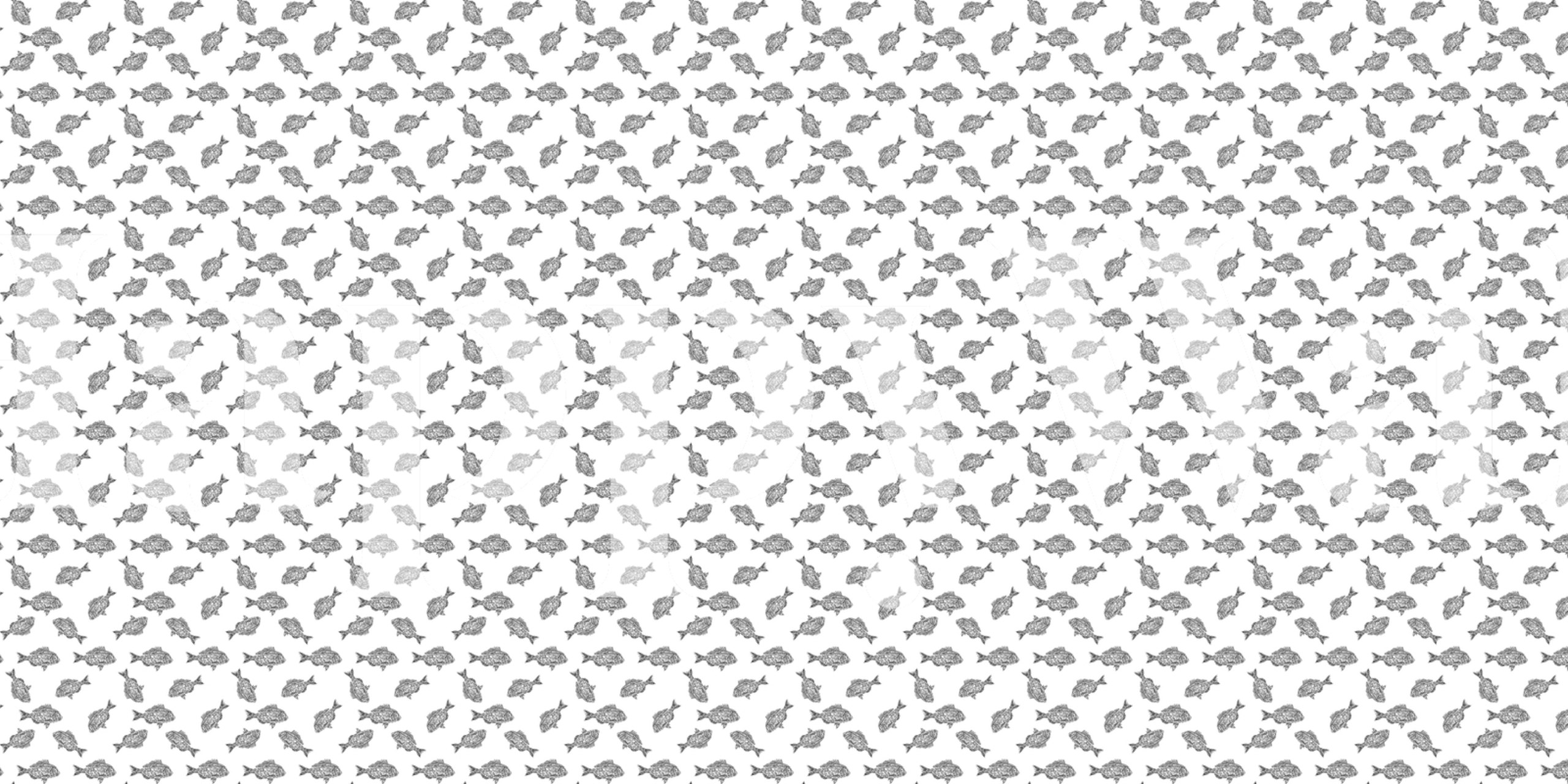 Gray fish pattern on white background wallpaper