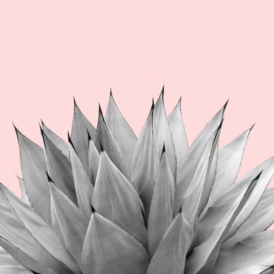 Τοιχογραφία