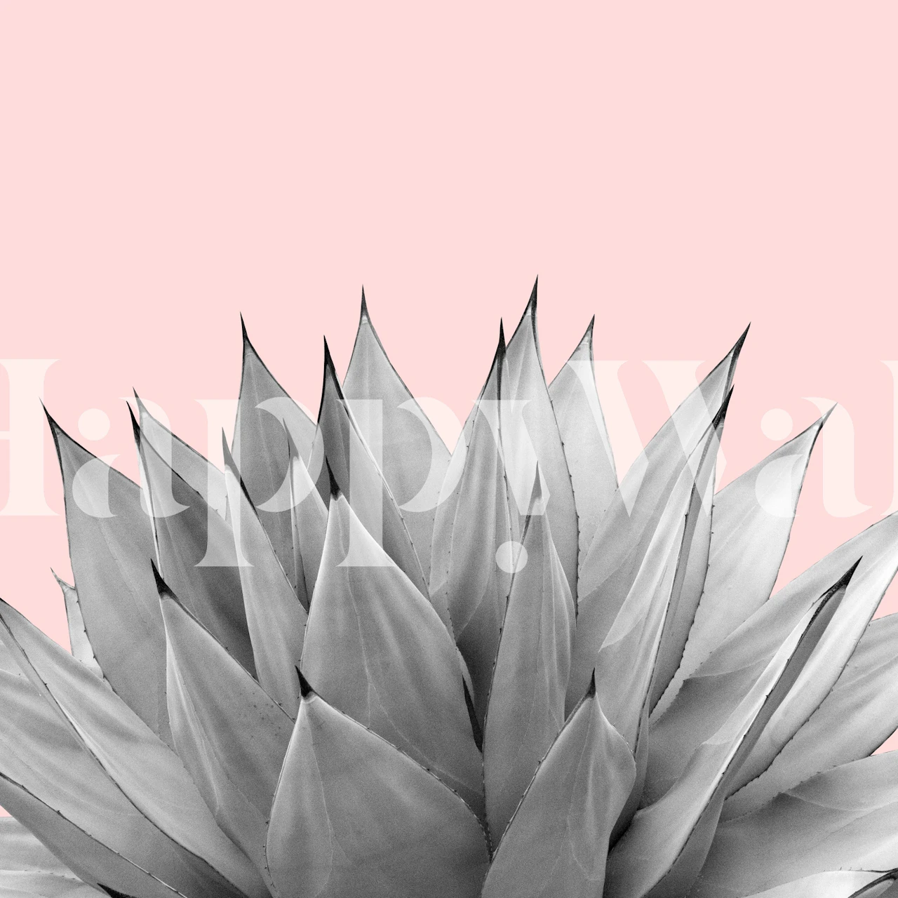 Agave Vibes 9 wallpaper displayed in a room