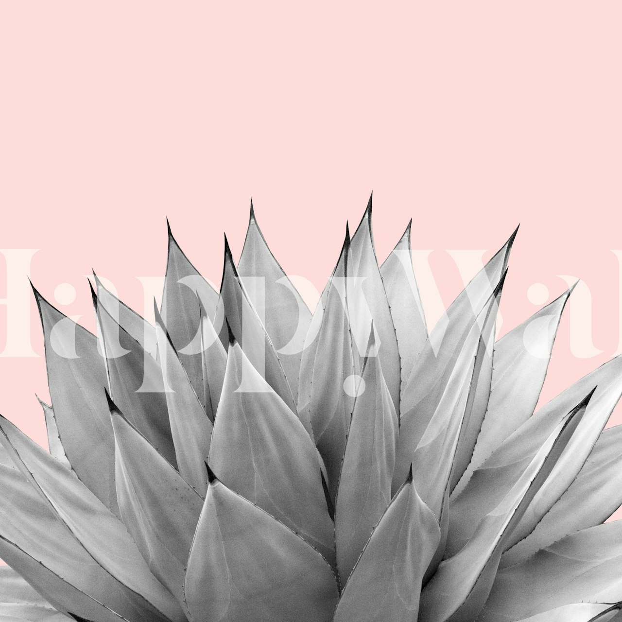 Agave Vibes 9 wallpaper displayed in a room