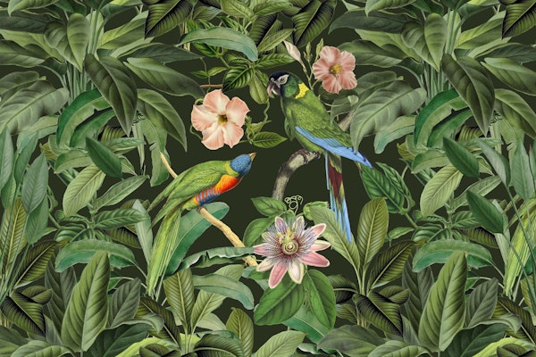 Tropical Paradise With Birds