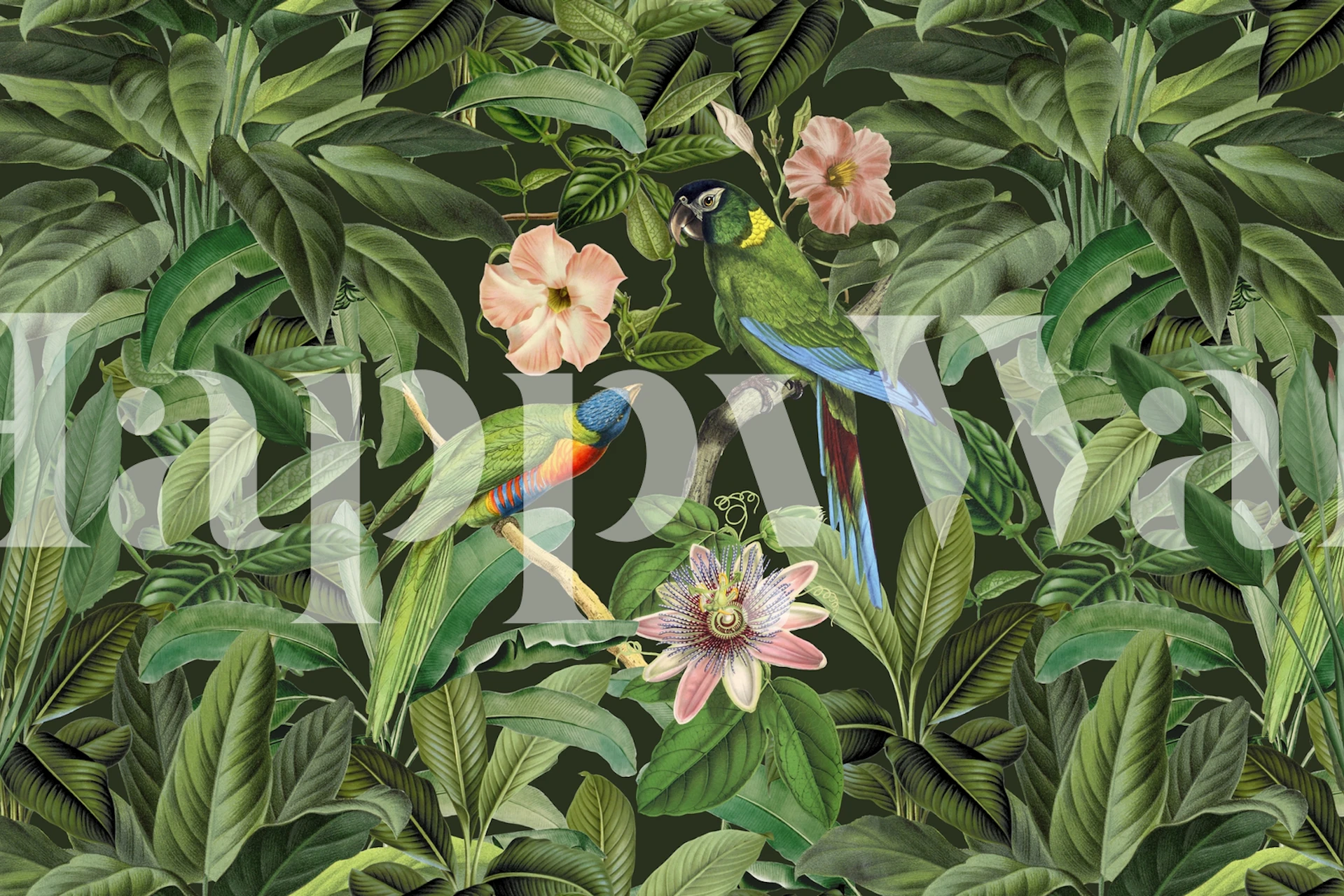 Fotomurais paisagistícos Folhas tropicais vibrantes e pássaros exóticos