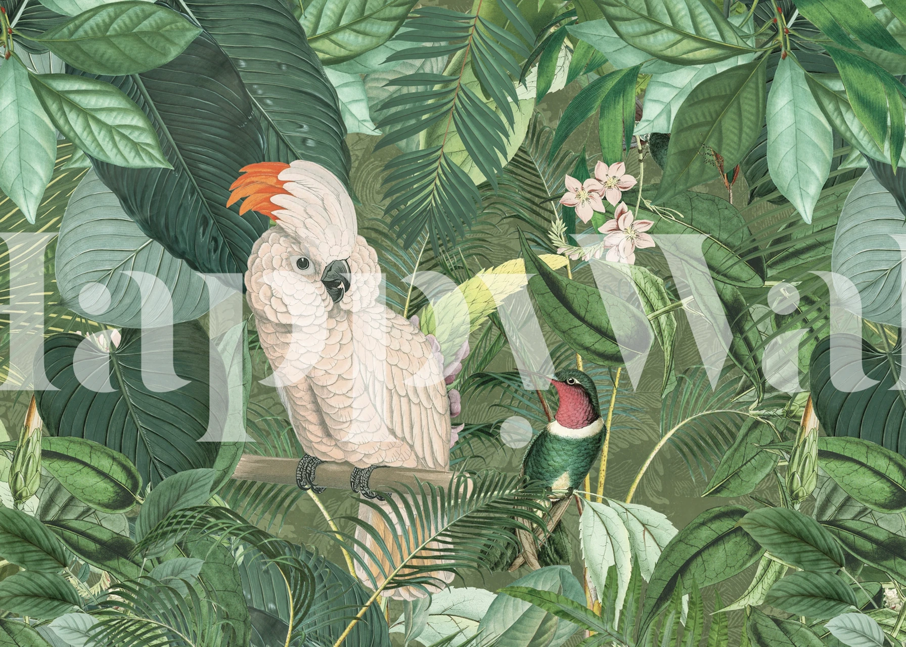 Jungle Bird Friends wall mural featuring tropical birds amidst lush green foliage