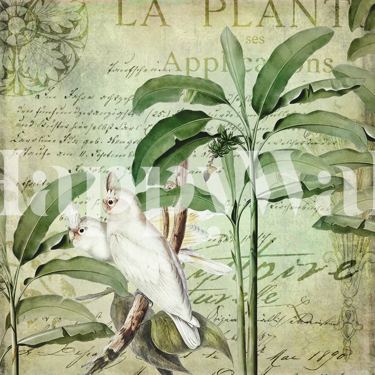 Cockatoo Nostalgic Paradise behang in een kamer