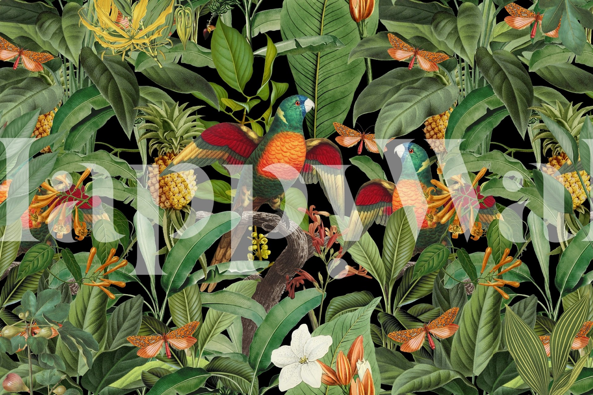 Parrots Jungle Paradise wallpaper in a room