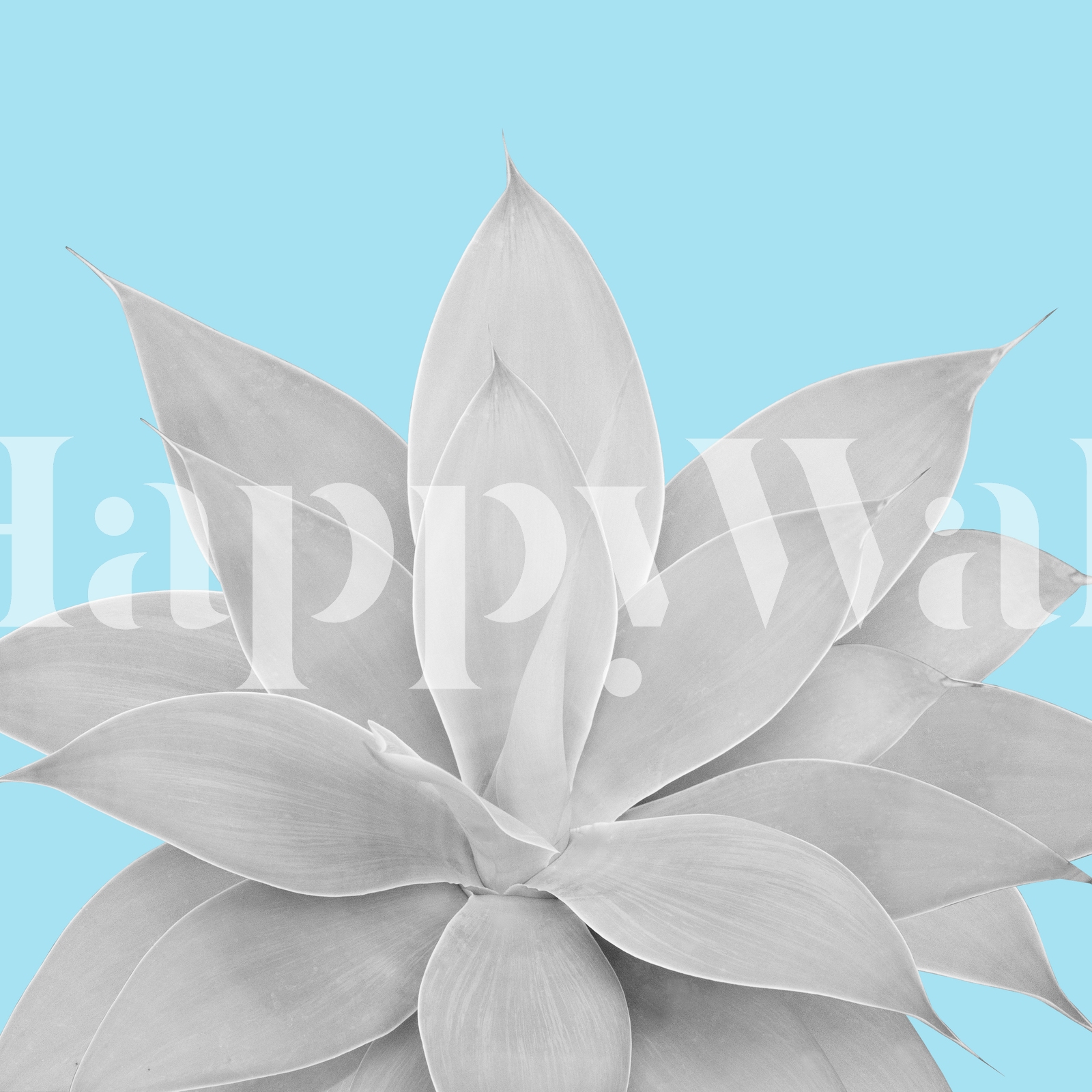 Buy Light Blue Agave 2 wallpaper - Free shipping