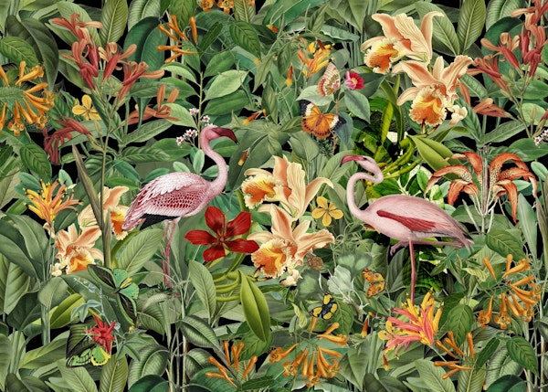 Tropical Flamingo Jungle