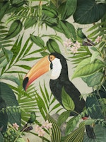 Tropical Toucan Jungle Bird tapete