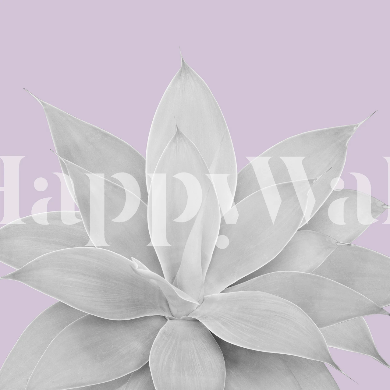 Grayscale agave plant illustration on pastel lavender background