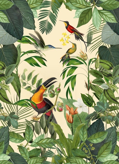 general.design-type-header-mural