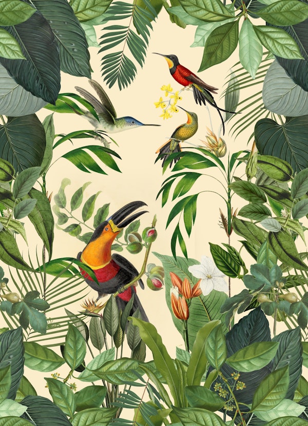 Toucan And Hummingbirds