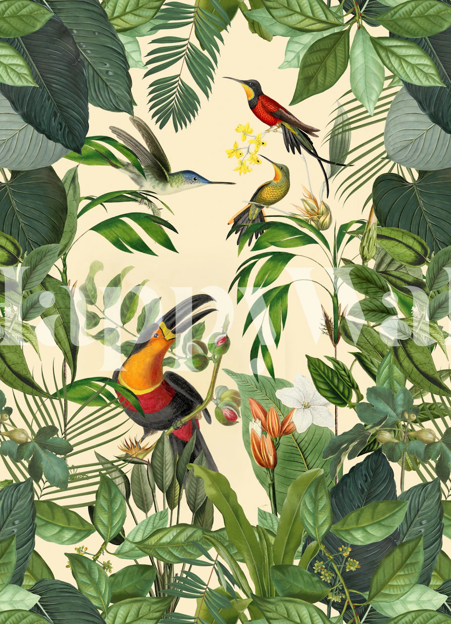 Tropical toucan and hummingbirds wall mural displaying vibrant wildlife and lush greenery