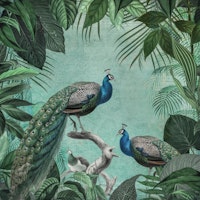 Peacock Paradise Garden ταπετσαρία