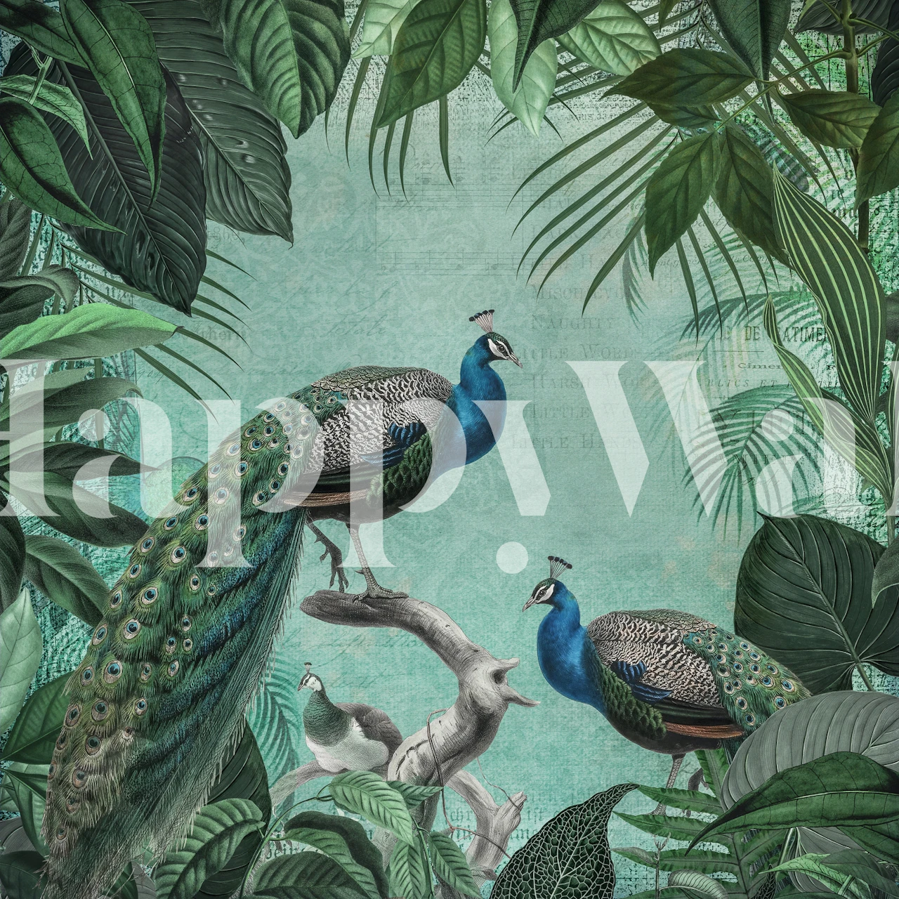 Tropical peacock with vibrant blue and green feathers surrounded by lush green foliage wallpaper