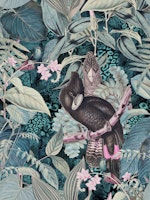 Black Jungle Cockatoo wallpaper