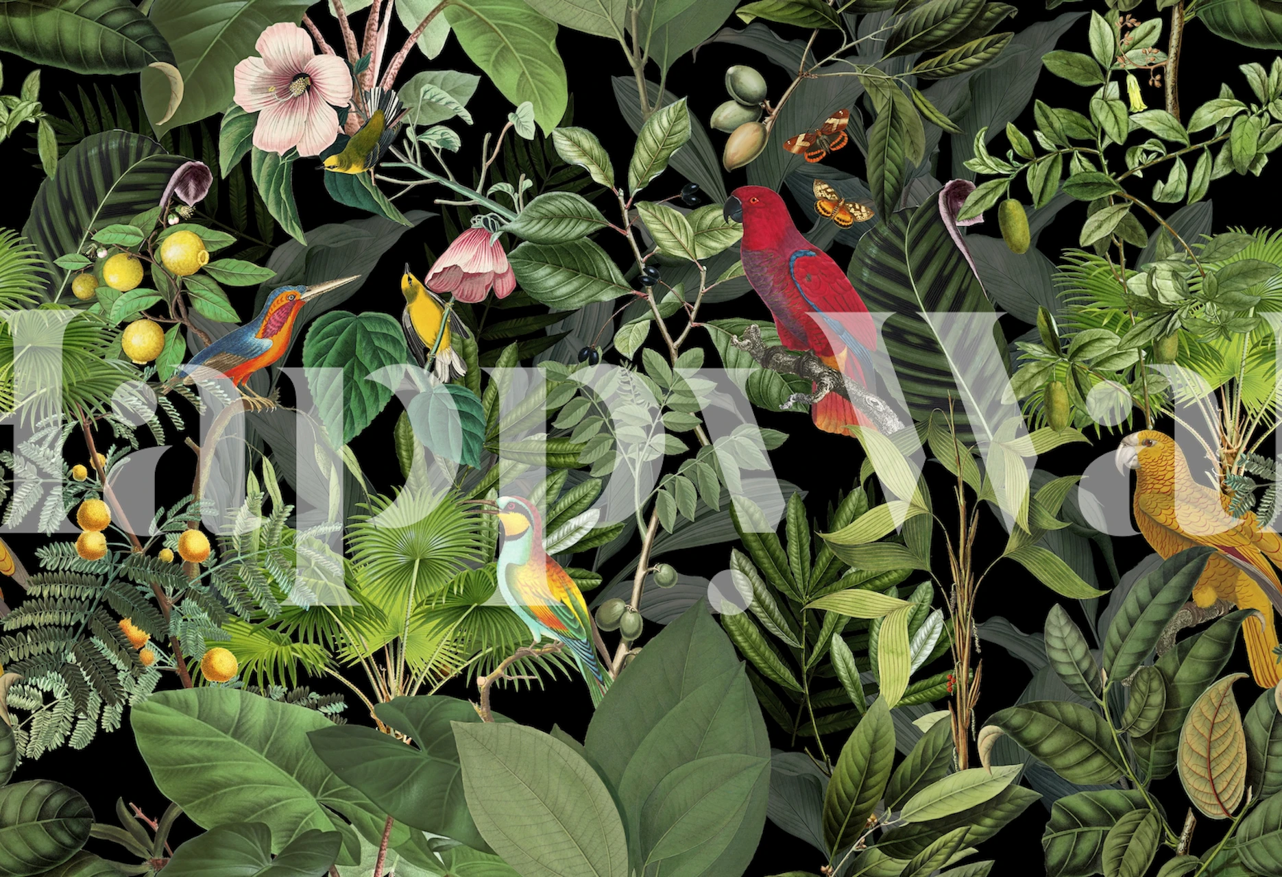 Fargerike papegøyer blant grønne tropiske blader og blomstrende blomsterveggmaleri på Happywall