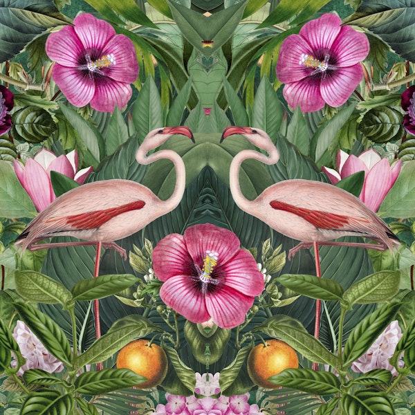 Flamingo Tropical Symmetry