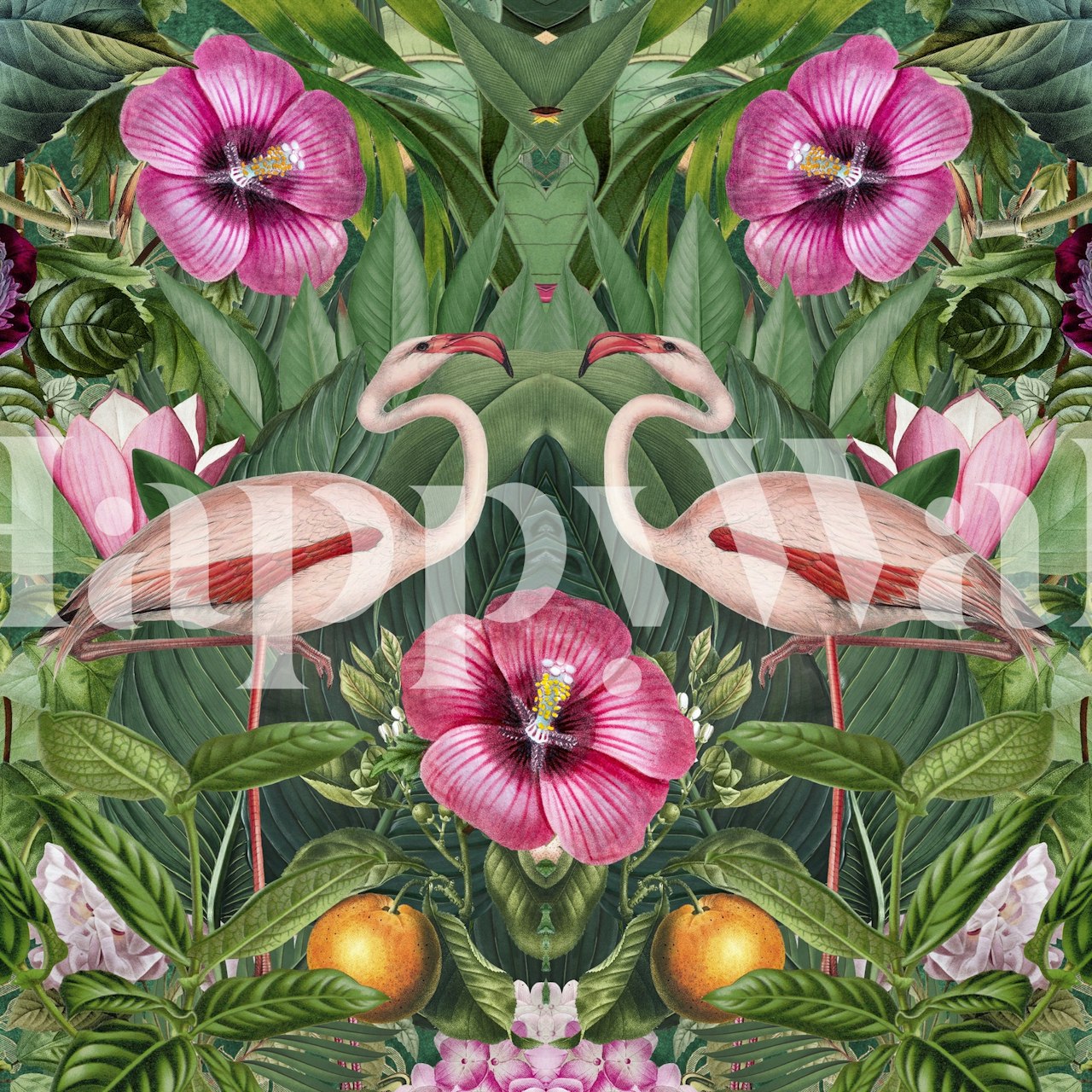 Flamingo Tropical Symmetry tapet i ett rum