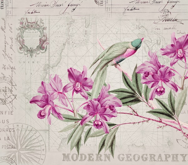 Birds Tropical Journey