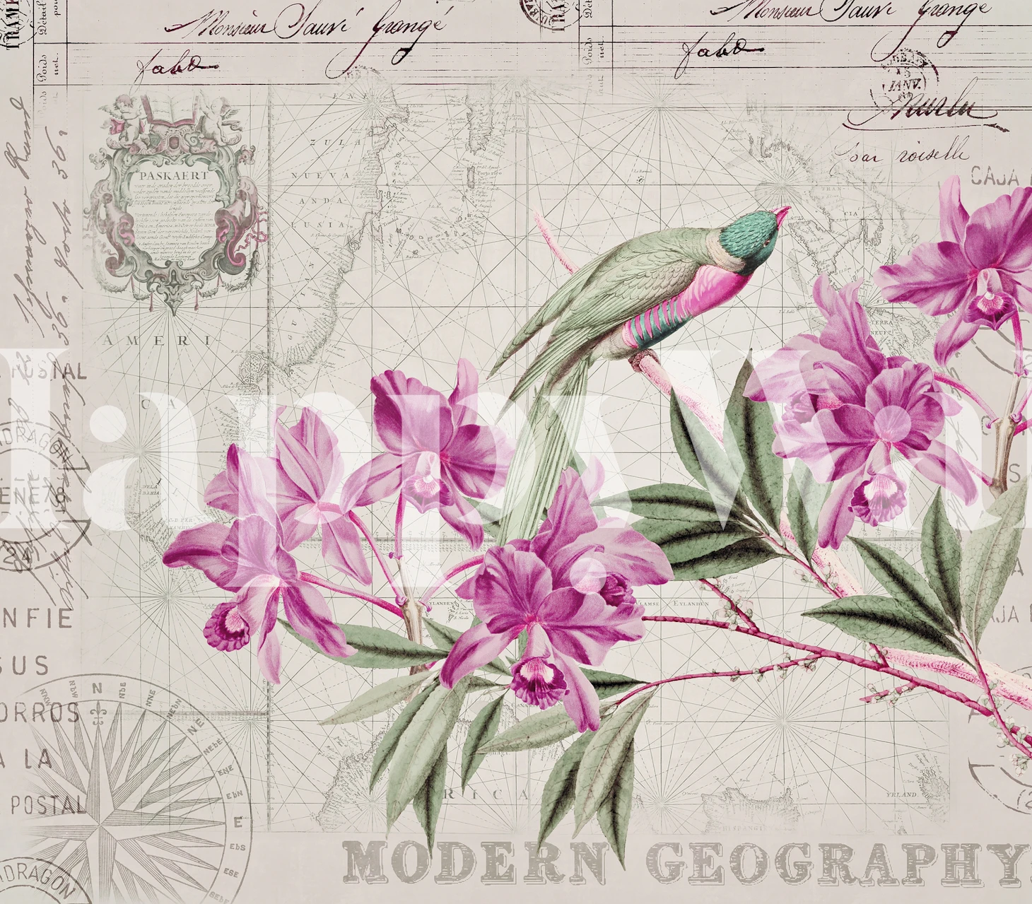 Papel de parede Birds Tropical Journey em um quarto