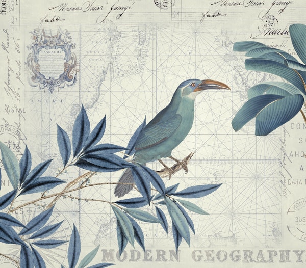 Blue Birds Tropical Journey