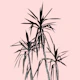 Palm Trees Blush Cali Vibes 1