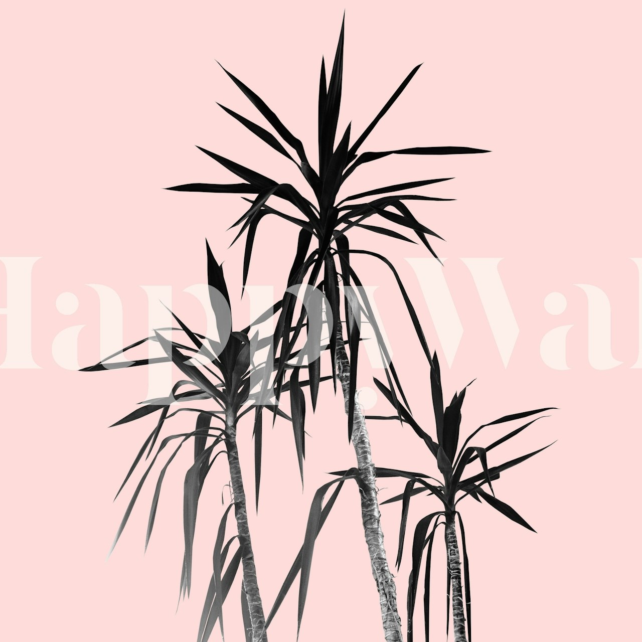 Palm Trees carta da parati in una stanza blush