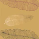 Gold Palm Leaves