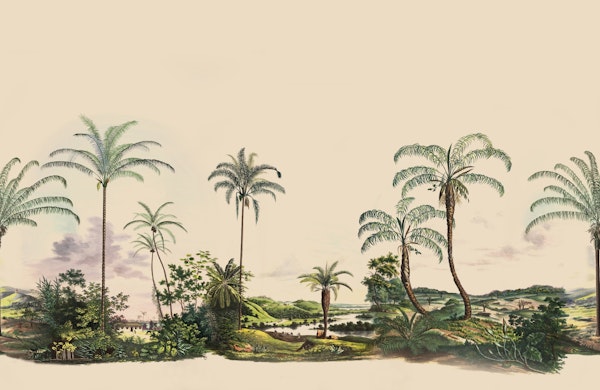 African Landscape With Palms